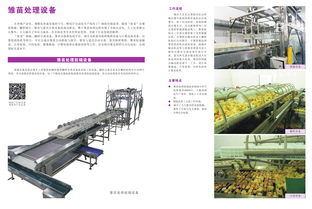 禽苗孵化厅前端处理设备 提升效率与品质的关键